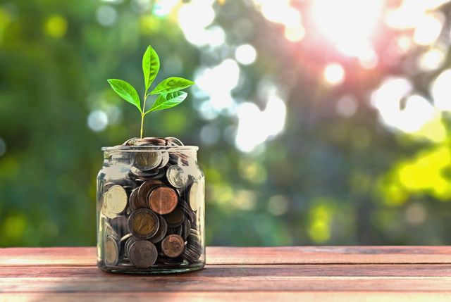 A jar filled with coins and a plant growing out of it.